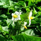 0906G 19 Hase-Ems-Tour : haseems